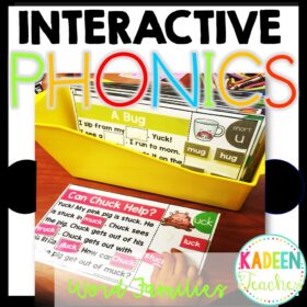 Interactive Phonics Mats®- CVC/Word Families